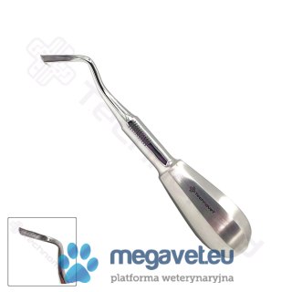 Dźwignia korzeniowa KOPP prawostronna (TCM)