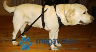 Ekspander 2 szt. komplet (BSM)