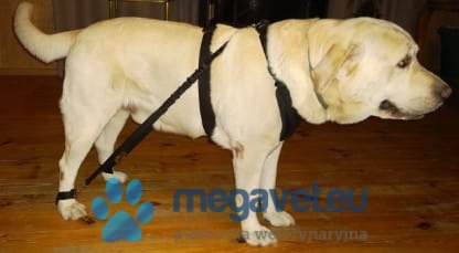 Ekspander 2 szt. komplet (BSM)