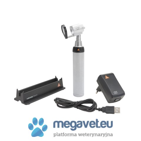 G100 LED z rękojeścią akumulatorową BETA 4USB i ładowarką (BSM)