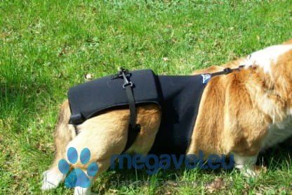 Gorset lędźwiowy (biodrowy) (BSM)