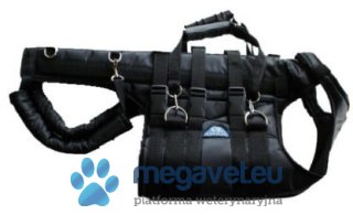 Gorset piersiowo-lędźwiowy (BSM)