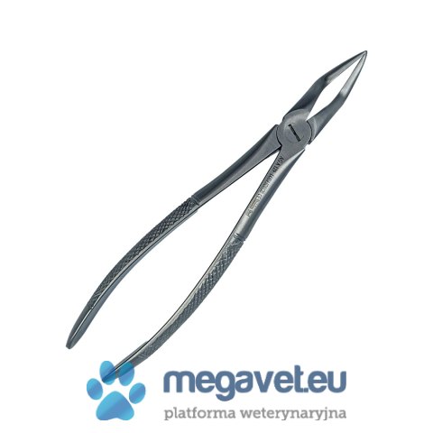 Kleszcze Berten górne korzenie fig. 51A (BSM)