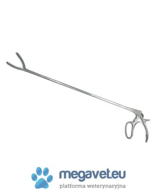 Kleszcze Chevalier-Jackson (BSM)