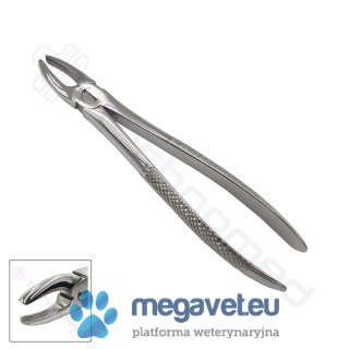 Kleszcze ekstrakcyjne rozm. 1 (TCM)