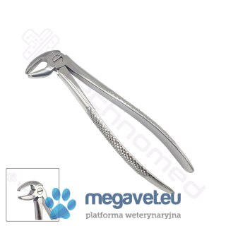 Kleszcze ekstrakcyjne rozm. 13 (TCM)