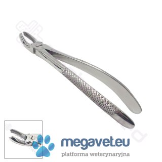 Kleszcze ekstrakcyjne rozm. 18A (TCM)