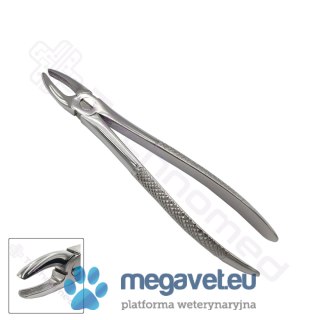 Kleszcze ekstrakcyjne rozm. 2 (TCM)