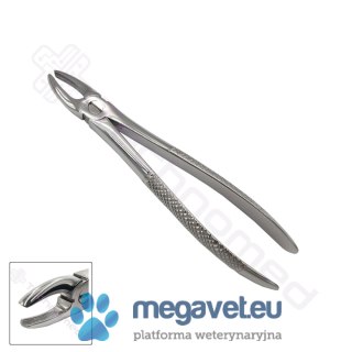 Kleszcze ekstrakcyjne rozm. 3 (TCM)