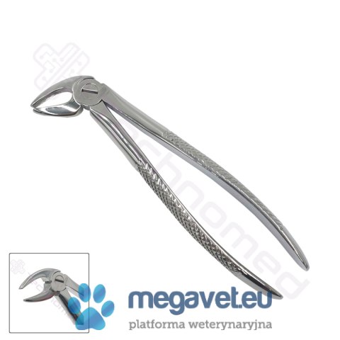 Kleszcze ekstrakcyjne rozm. 4 (TCM)