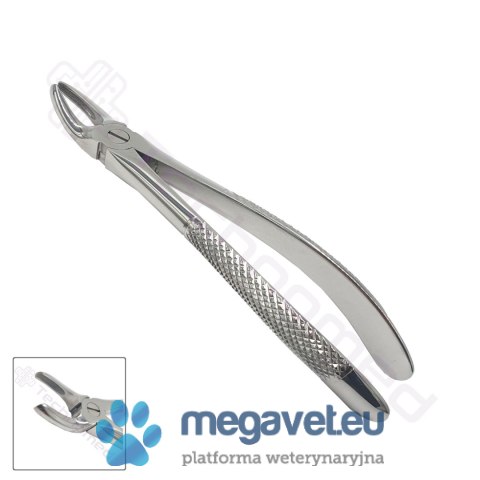 Kleszcze ekstrakcyjne rozm. 7 (TCM)
