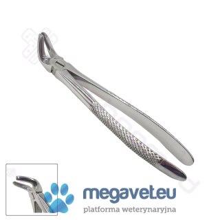 Kleszcze ekstrakcyjne rozm. 8 (TCM)