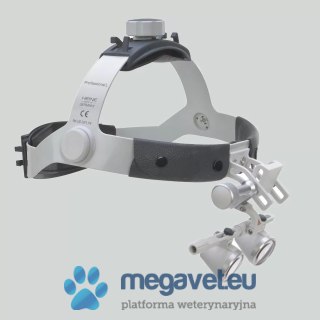 Lupa okularowa HR na czepcu z I-View (BSM)