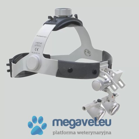 Lupa okularowa HR na czepcu z I-View (BSM)