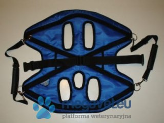 Nosze średnie (BSM)