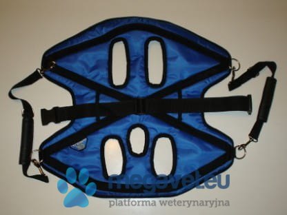 Nosze średnie (BSM)