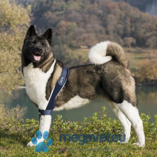 Ochraniacz stawu łokciowego psa Balto (BSM)