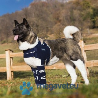 Orteza na ramię psa Balto (BSM)