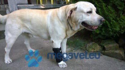 Orteza nadgarstkowa 3 szyny (BSM)