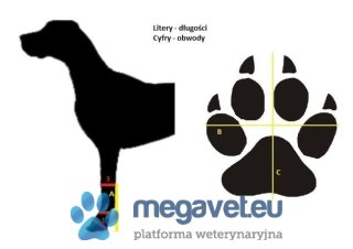 Orteza skokowa zastabilizowana z butem dorsi-flex (BSM)