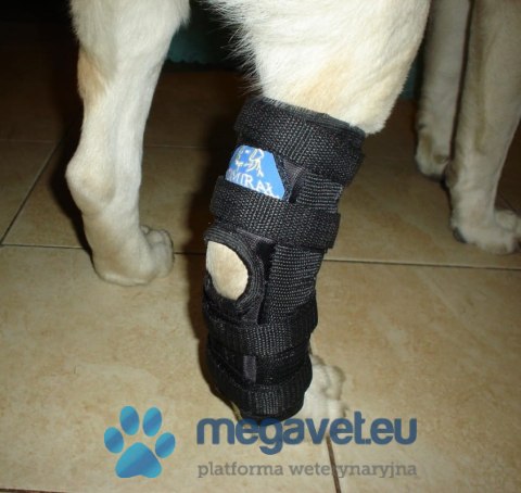 Orteza tylna skokowa zastabilizowana 2 szyny (BSM)