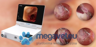 Promocja 🥳 TK-VETKIT - zestaw do endoskopii giętkiej i sztywnej All-In-One [SYD]