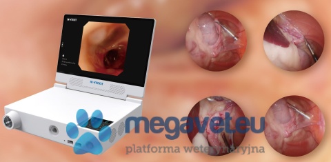 Promocja 🥳 TK-VETKIT - zestaw do endoskopii giętkiej i sztywnej All-In-One [SYD] cena