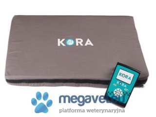 Przenośny weterynaryjny zestaw do magnetoterapii Kora (BSM)