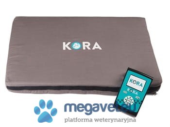 Przenośny weterynaryjny zestaw do magnetoterapii Kora (BSM)