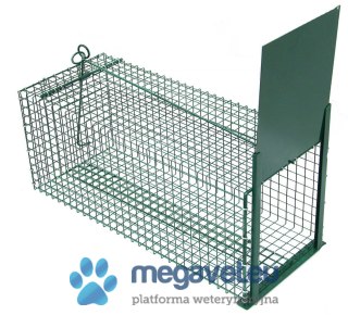 Pułapka jednowejściowa z hakiem na przynętę, na tchórze, łasice, koty 60 cm (BSM)