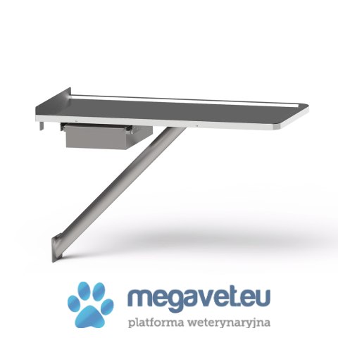 Stół diagnostyczny przyścienny typ D-WS/4 (BSM)