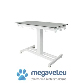 Stół weterynaryjny do RTG VET-RS1 (BSM)