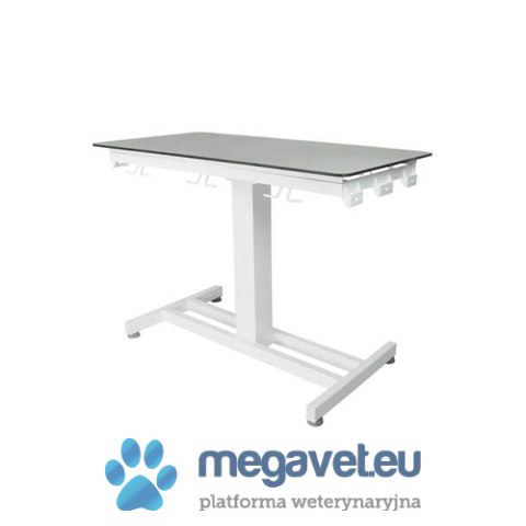 Stół weterynaryjny do RTG VET-RS1 (BSM)