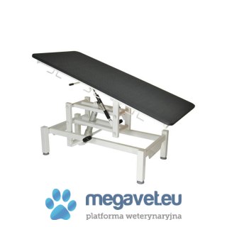 Stół weterynaryjny hydrauliczny VET-H04 (BSM)