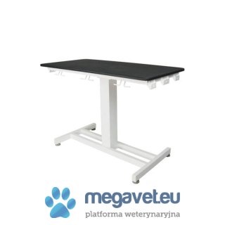 Stół weterynaryjny ze stałą wysokością VET-S01 (BSM)