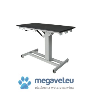 Stół weterynaryjny ze stałą wysokością VET-S04 (BSM)