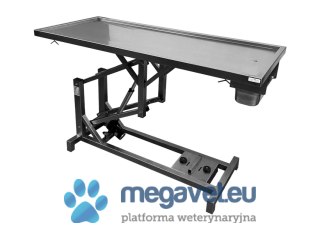Stół zabiegowy z elektryczną regulacją wysokości (BSM)