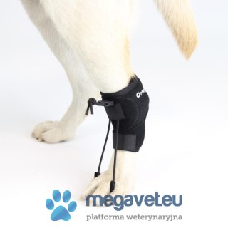 System korekcji chodu psa Ortocanis (BSM)