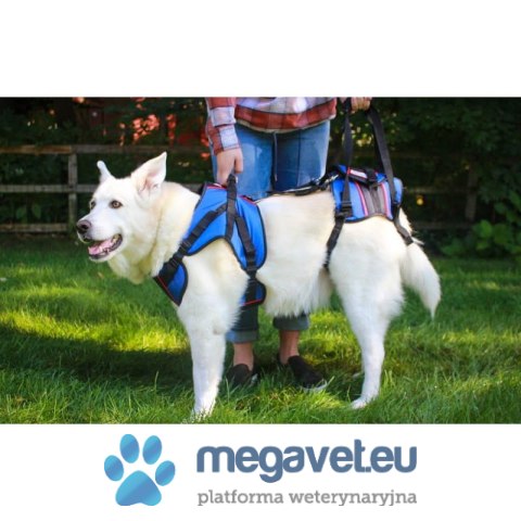 Szelki rehabilitacyjne dla psa przednie Walkinpets (BSM)