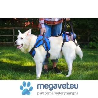 Szelki rehabilitacyjne dla psa tylne Walkinpets (BSM)