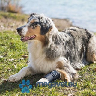 Sztywna orteza nadgarstkowa dla psa Balto (BSM)