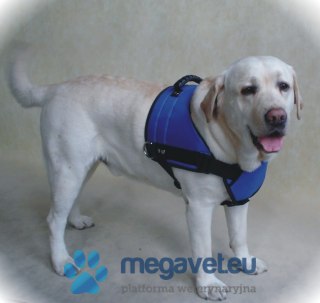 Uprząż barkowa (BSM)