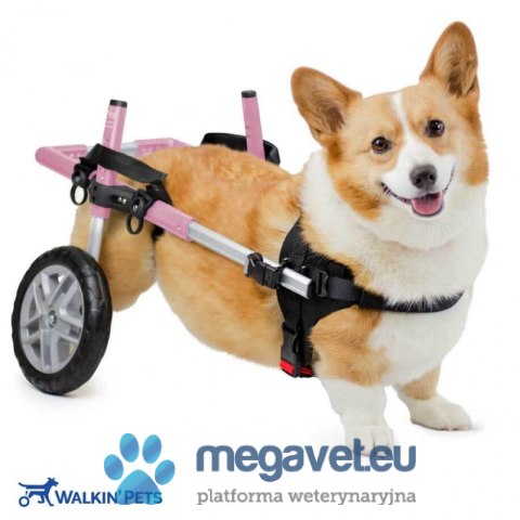 Wózek inwalidzki dla psów CORGIE Walkinpets (BSM)