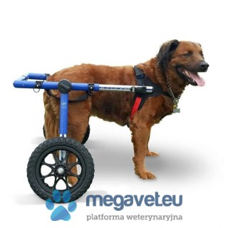 Wózek inwalidzki dla psów dużych ras Walkinpets (BSM)
