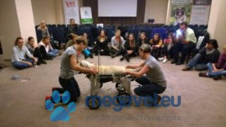 Wózek inwalidzki niedowład czterokończynowy (BSM)