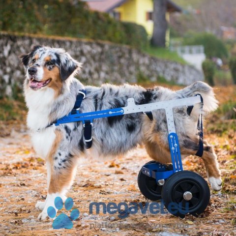 Wózek terenowy dla psa Balto OFF ROAD (BSM)