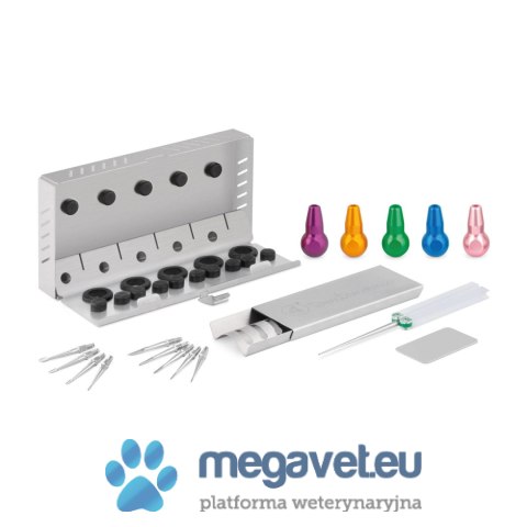 Zestaw DENTANOMIC złoty długie uchwyty (BSM)