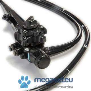 Zestaw endoskopowy z VET-6010 do gastroskopii małych zwierząt (BSM)