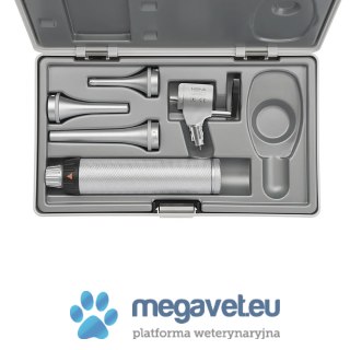 Zestaw głowica G100 LED z rękojeścią BETA 2,5V (BSM)