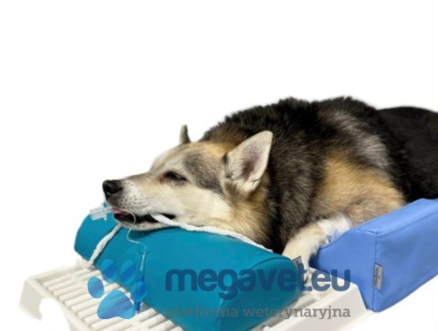 Zestaw ociekacz stomatologiczny + kształtki (BSM)